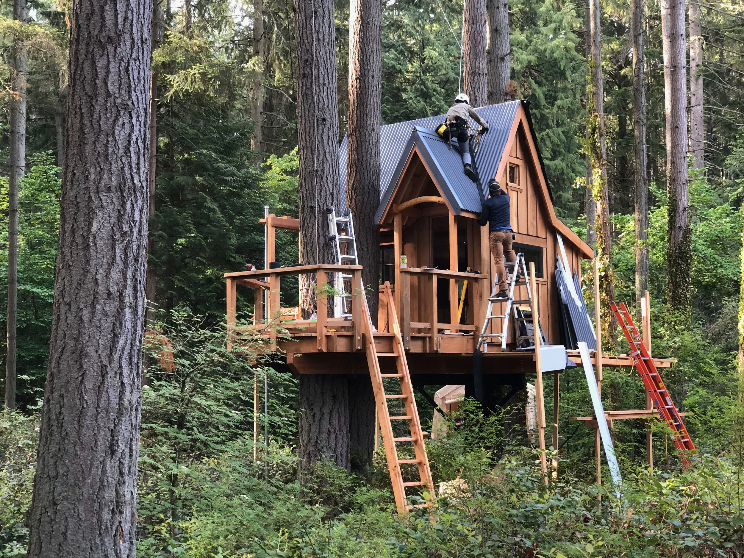 The Salal Treehouse — Wild Tree Woodworks - Custom Treehouse